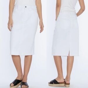 WashLab Pencil Skirt Size 4